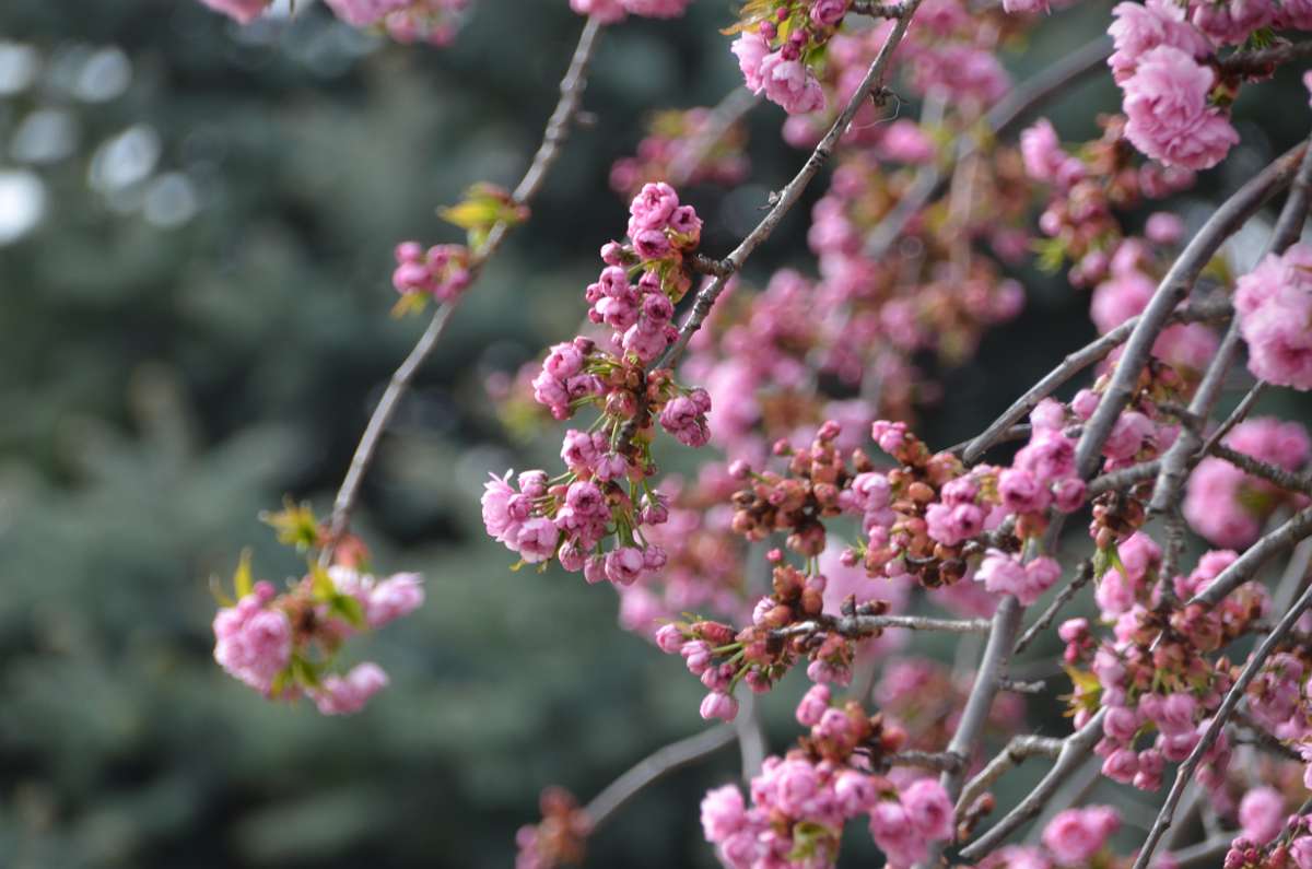 2014-03-31 16-30-24.JPG